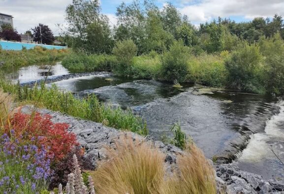 Irlanda en familia: Carlow